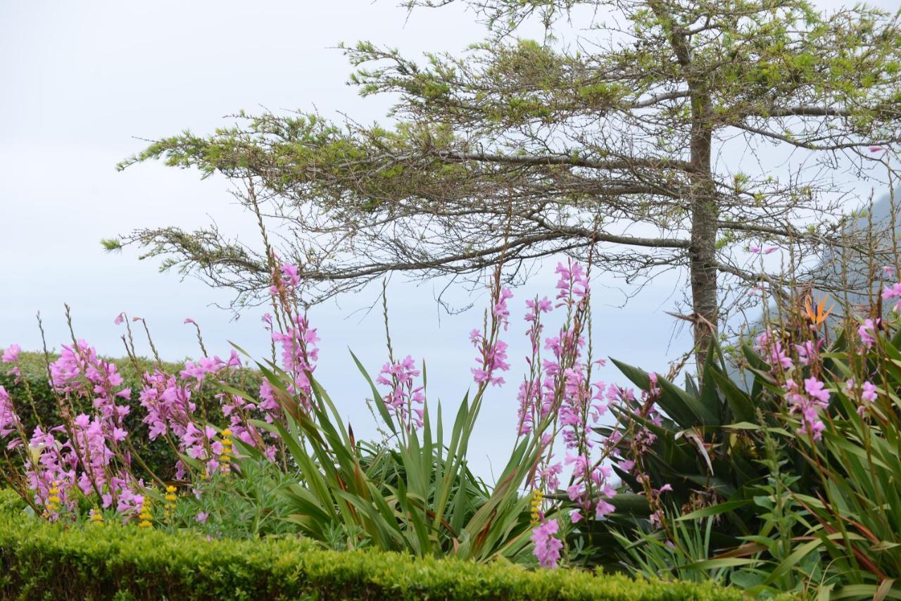 Casa De Avelino Al Guest House Nordeste  Luaran gambar